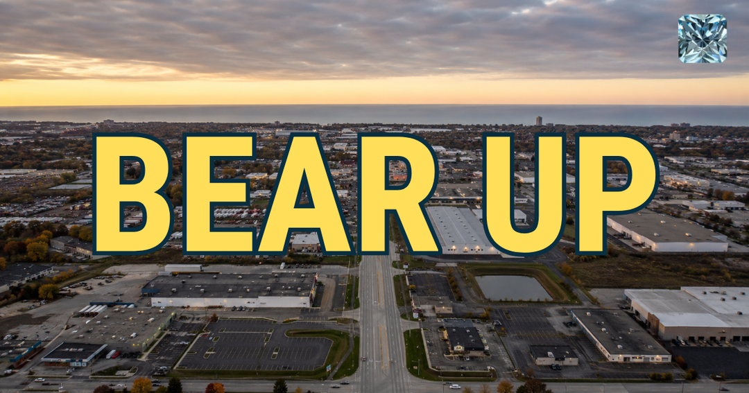 What The Bears Stadium Means For Your Flat Roof