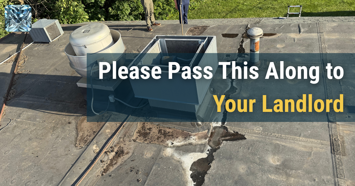 Please pass this along to your landlord: aging commercial flat roof with a rooftop unit