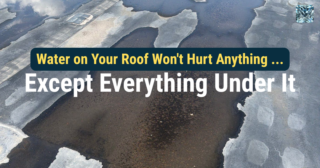 Water on Your Roof Won't Hurt Anything ... Except Everything Under It