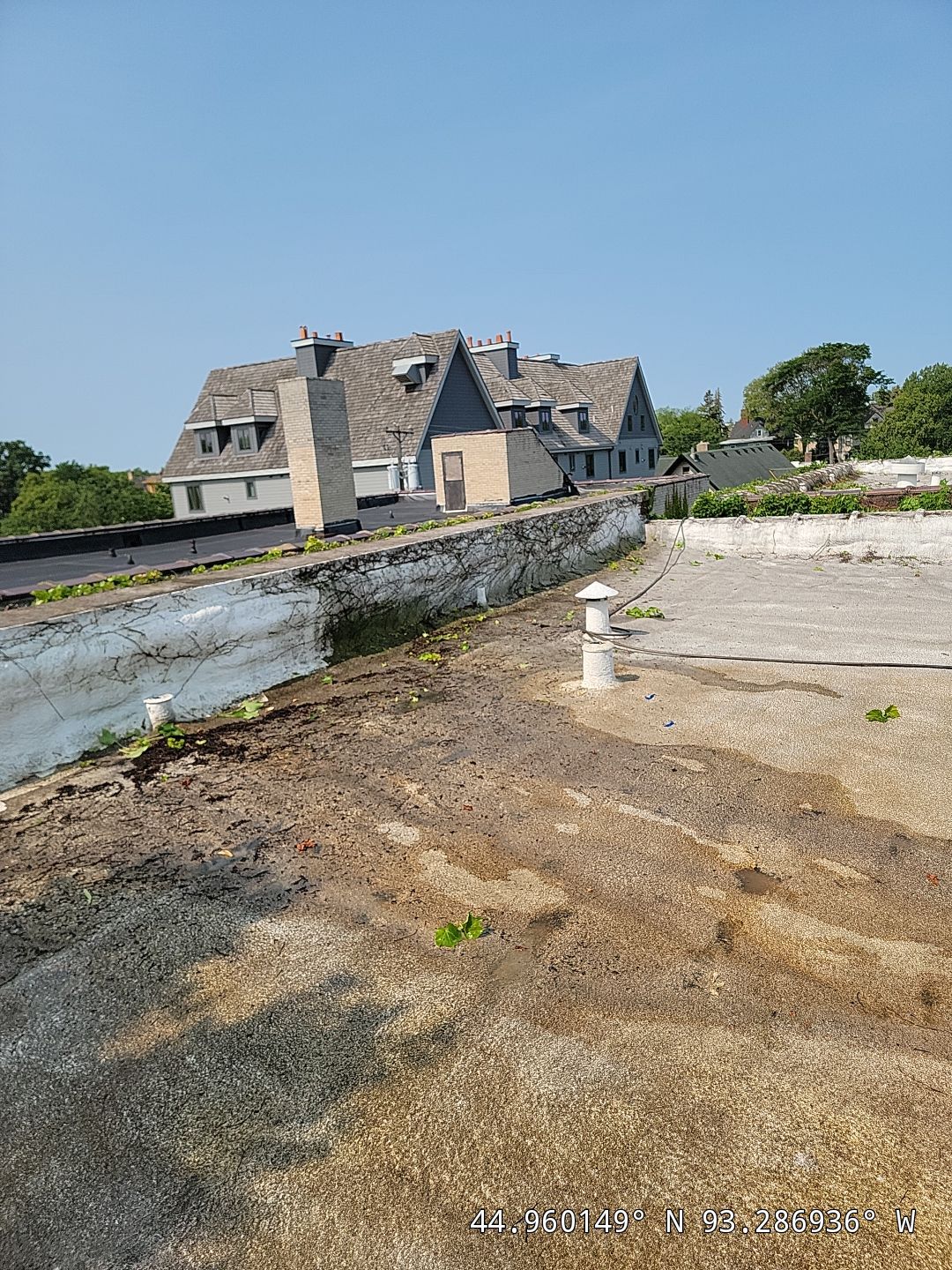Deteriorated commercial flat roof with staining and vegetation growth